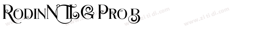 RodinNTLG Pro B字体转换